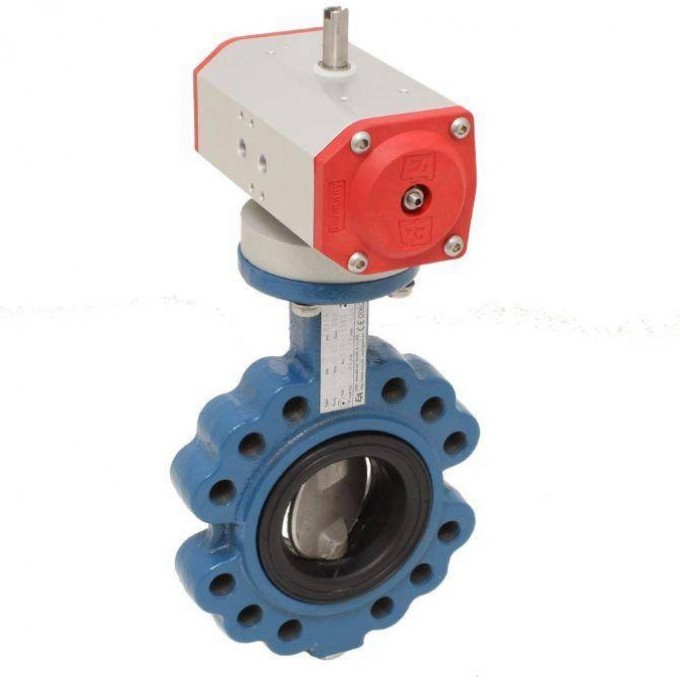 Двустворчатый клапан END Armaturen TM532008-EE620702 END-ARMATUREN 165575